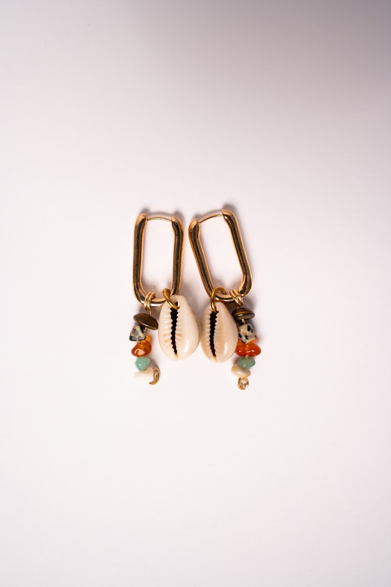 Golden Cowrie